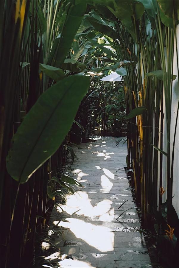Tropical Home Villa 会安 外观 照片